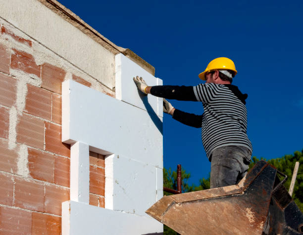 Best Eco-Friendly Insulation in Bells, TX