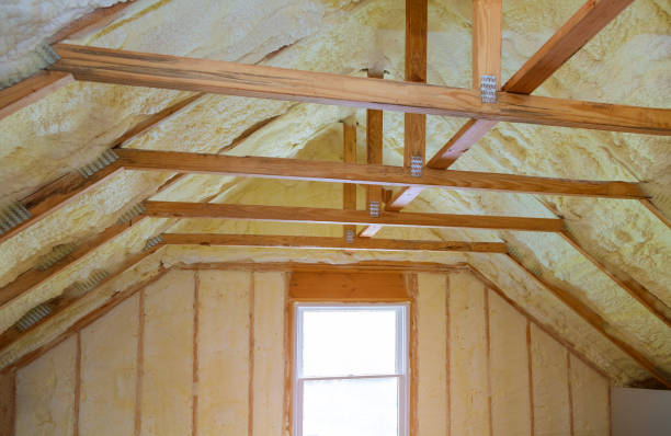 Best Geographic-Specific Insulation Services in Bells, TX