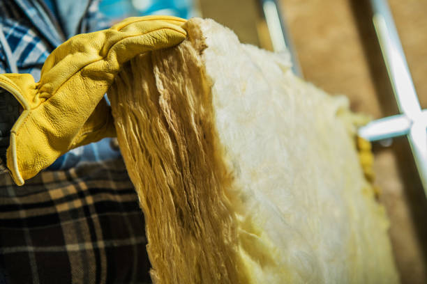 Best Cellulose Insulation in Bells, TX