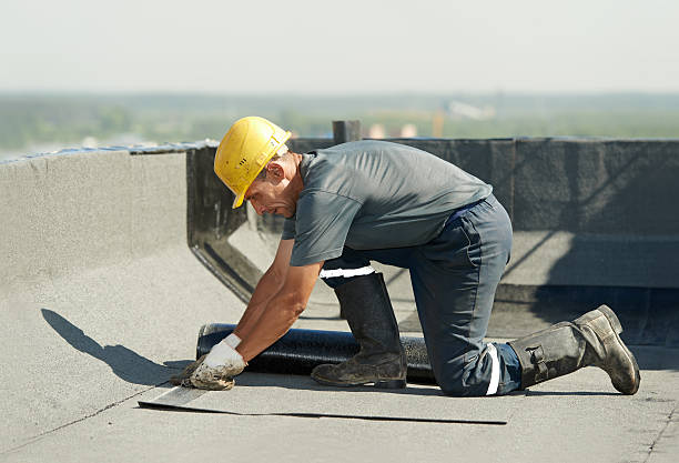 Best Specialized Insulation Services in Bells, TX