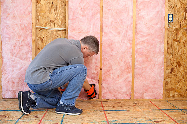 Best Specialized Insulation Services in Bells, TX