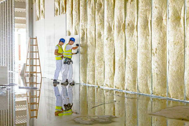 Best Spray Foam Insulation in Bells, TX